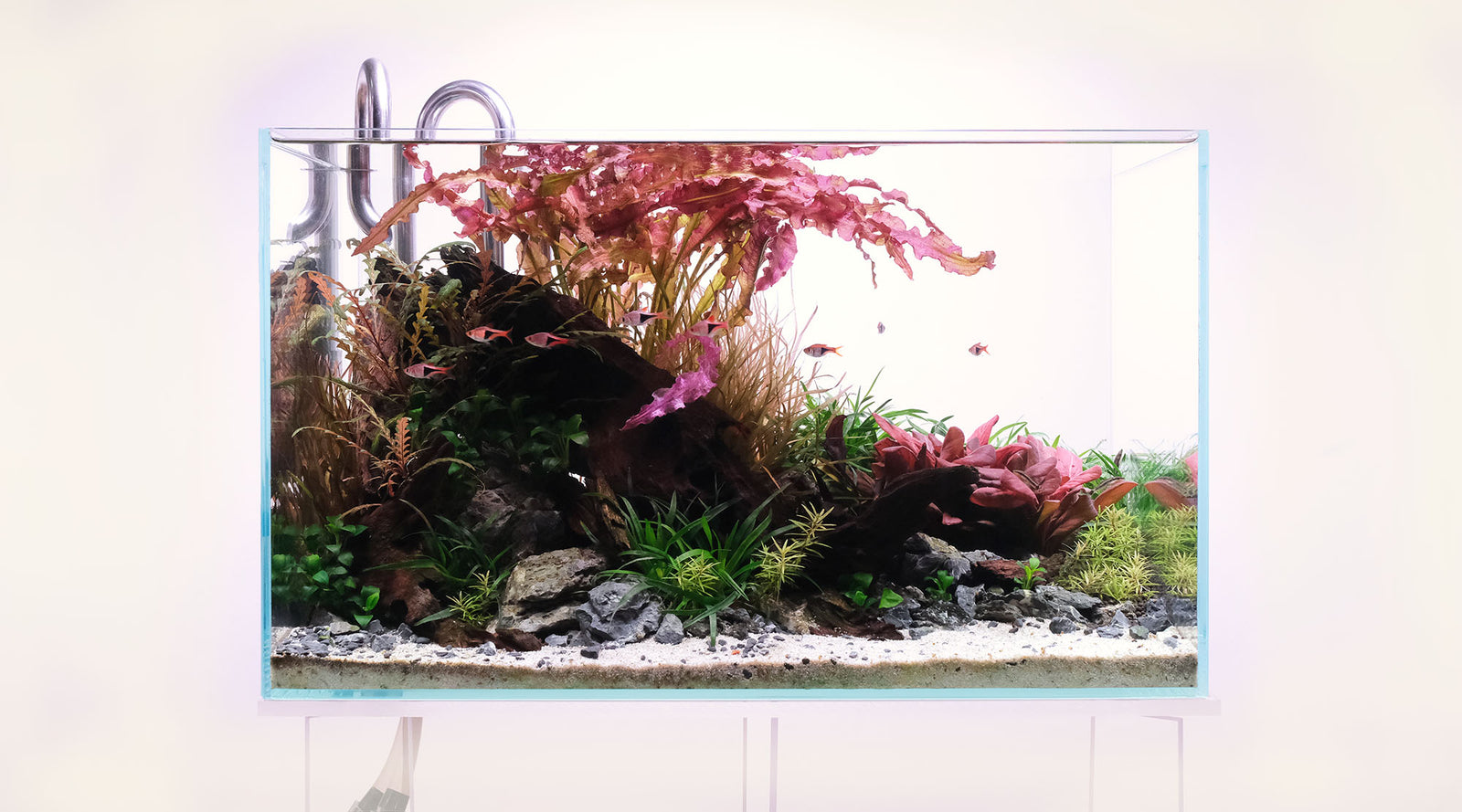 Best led aquarium lighting for plants best sale